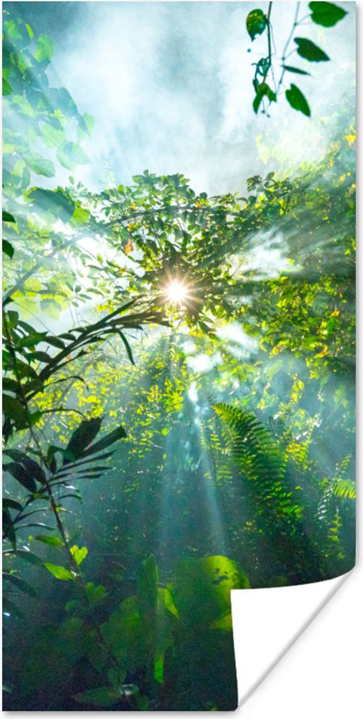MuchoWow Poster Die Sonne scheint durch die Wälder eines Regenwaldes in Malaysia 40x80 cm - Dekoration