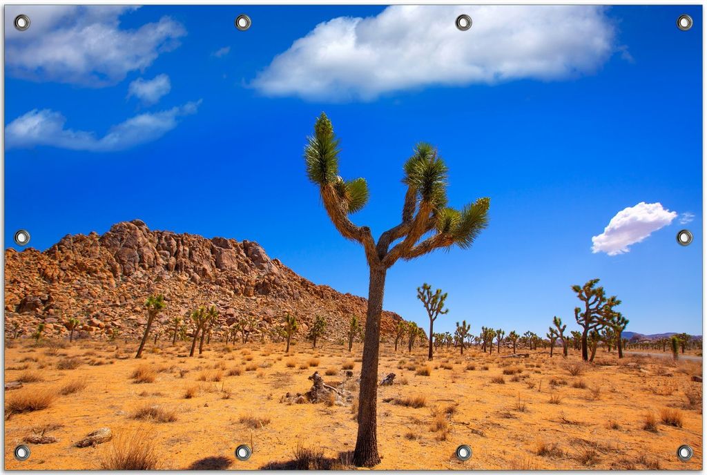 Wallario Outdoor-Poster für Garten oder Balkon, Motiv Palmlilie im Nationalpark Yucca Valley Wüstenlandschaft, in ca. 80 x 120 cm