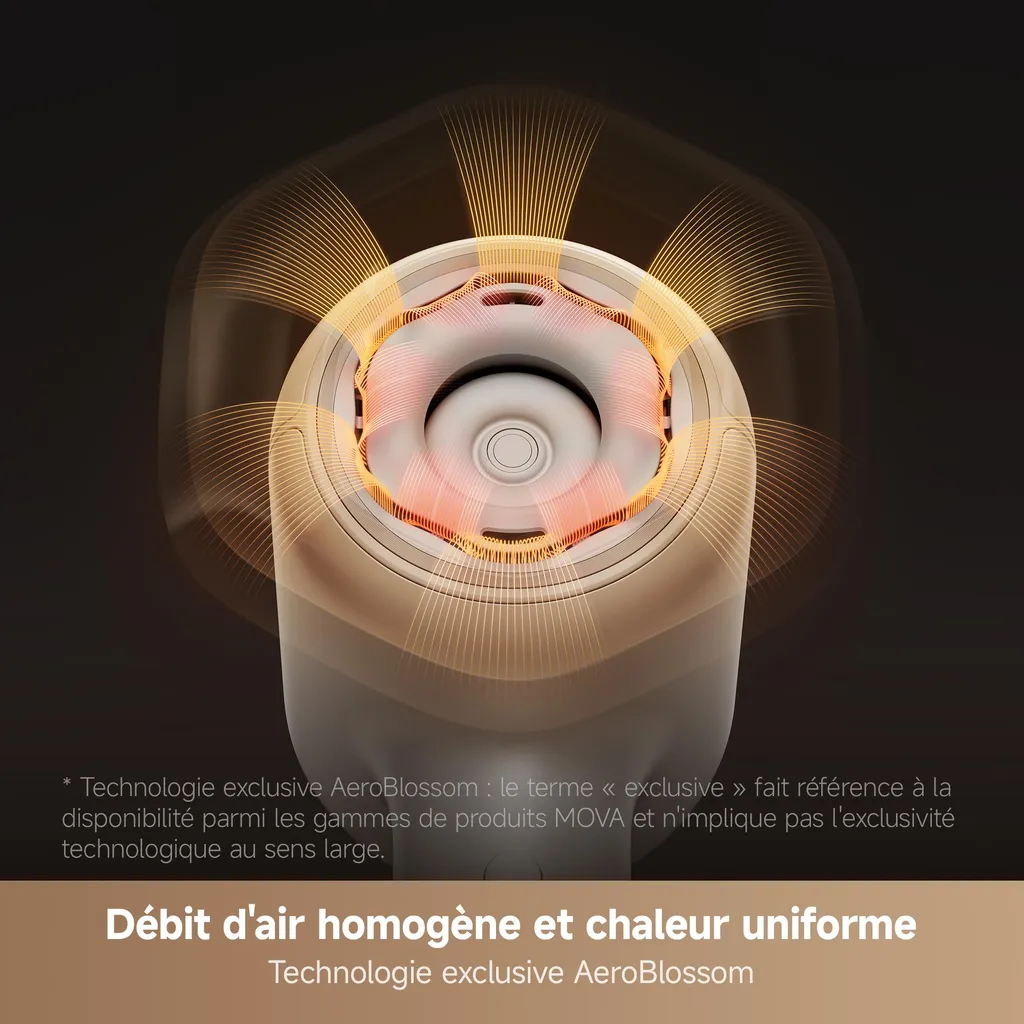 Sèche-cheveux professionnel pour brushing rapide MOVA SHINE