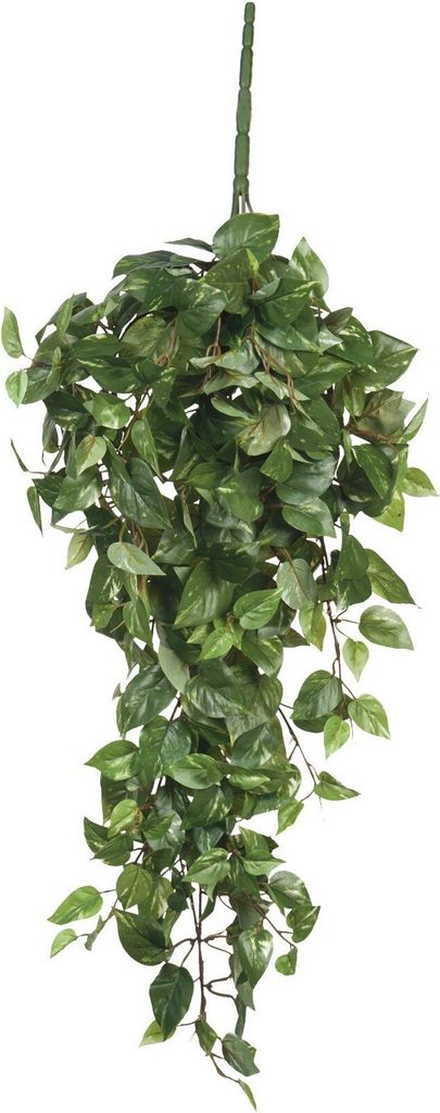 Mica Decorations Scindapsus hängende Kunstpflanze - H80 cm Produktbild 