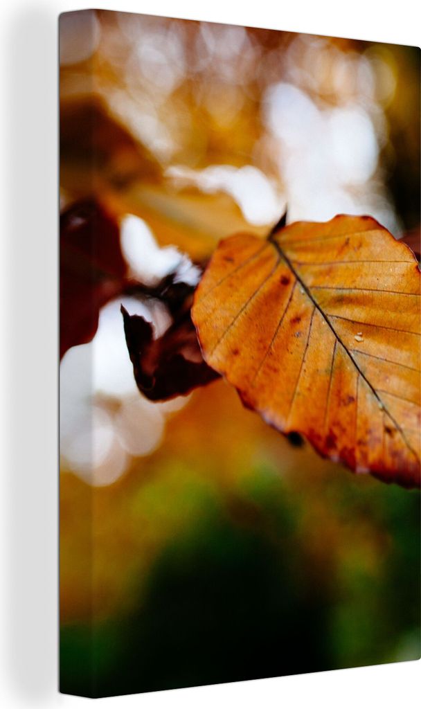 OneMillionCanvasses - Leinwandbilder - 90x140 cm, Buche - Herbst - Laub, Wandbilder Kunstdruck Wanddekoration - Foto auf Leinwand - Gemälde auf ...