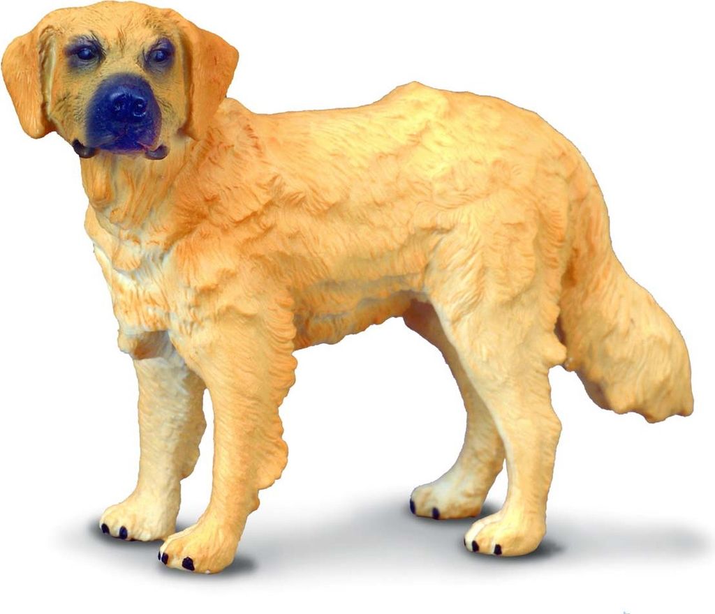 Collecta 88116 Golden Retriever 8 cm Hunde und Katzen