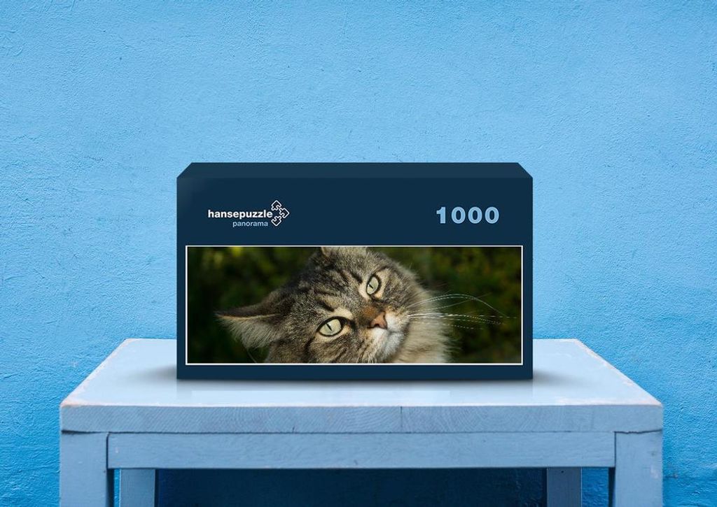 hansepuzzle 74513 - Katze Puzzle, 1050 Teile, Tierwelt, 60,0 x 46,0cm mit hochwertiger Aufbewahrung, Kartonbox und wiederverschließbarem Beutel