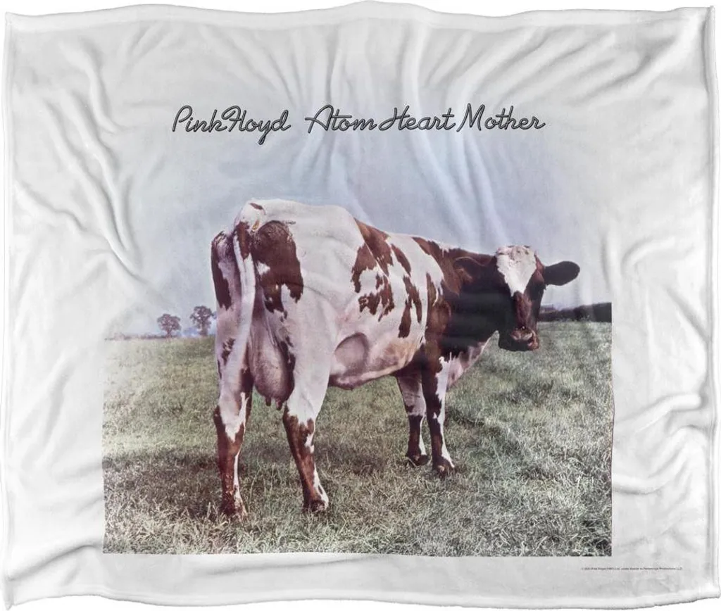 Couverture chaude Pink Floyd contre le froid hivernal et les frissons