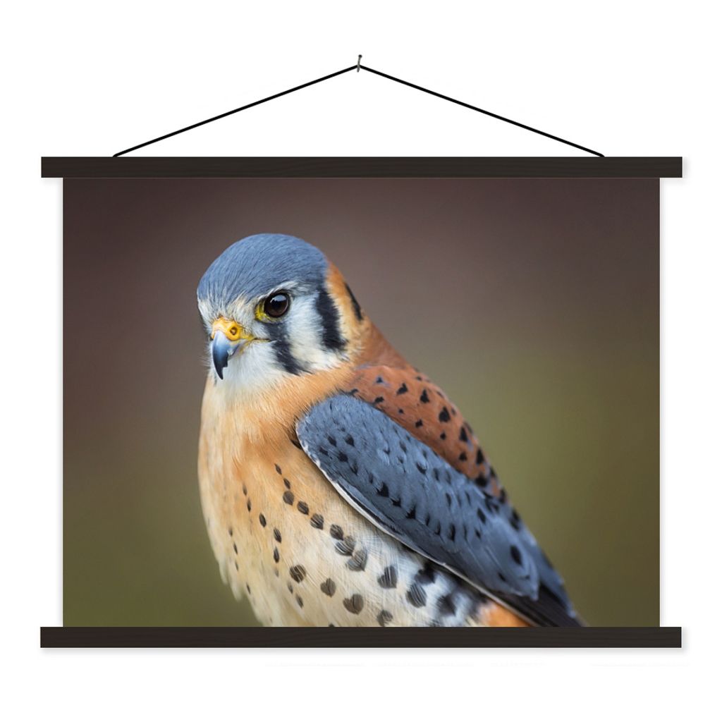 MuchoWow Textilposter Vogel - Makro - Blau 40x30 cm mit schwarzem Rahmen - Dekorationen