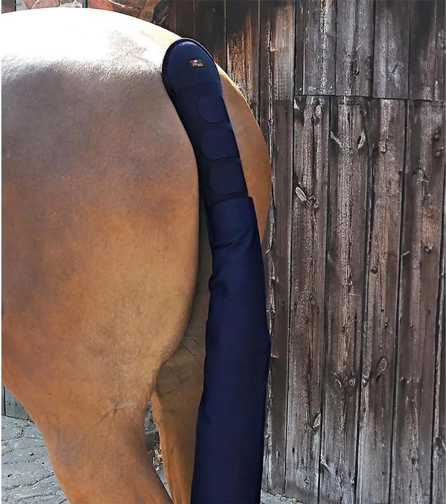 Protection Queue Cheval contre Frottements et Saleté Bleu Matelassée