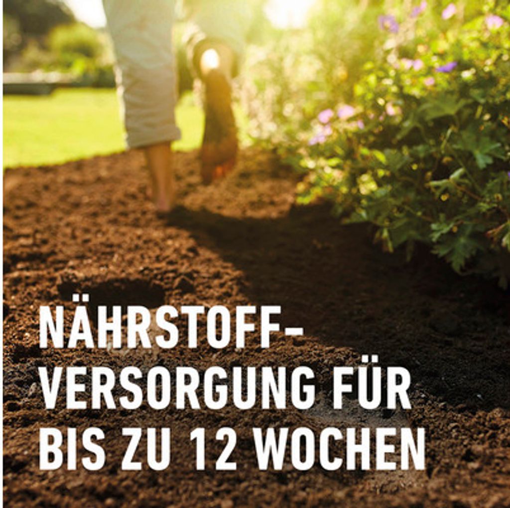 COMPO SANA® Qualitäts Blumenerde 50 Liter Kaufland.de