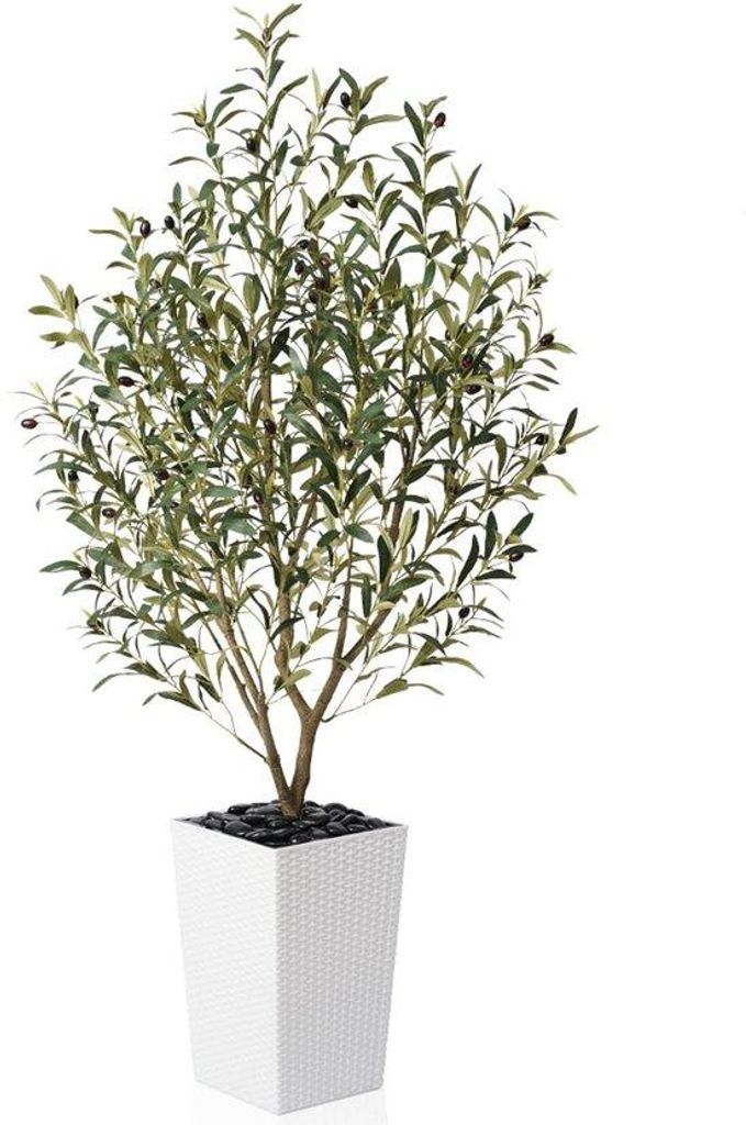 Kunstige Olijfboom 150cm in Witte Pot mit Kiezels, Dekorative Kunstplanten für Wohnzimmer, Büro & modernen Raum