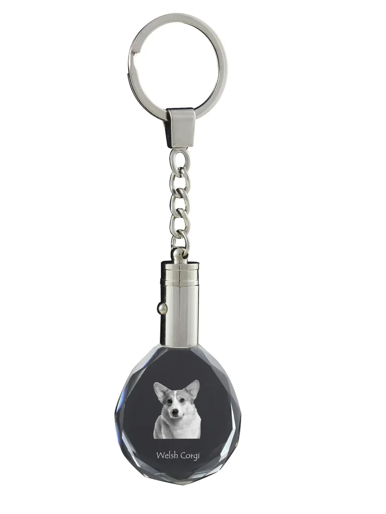 Pembroke Welsh Corgi - ciondolo con foto del cane, ciondolo in cristallo per chiavi in confezione regalo, un regalo unico da Art-Dog - 2