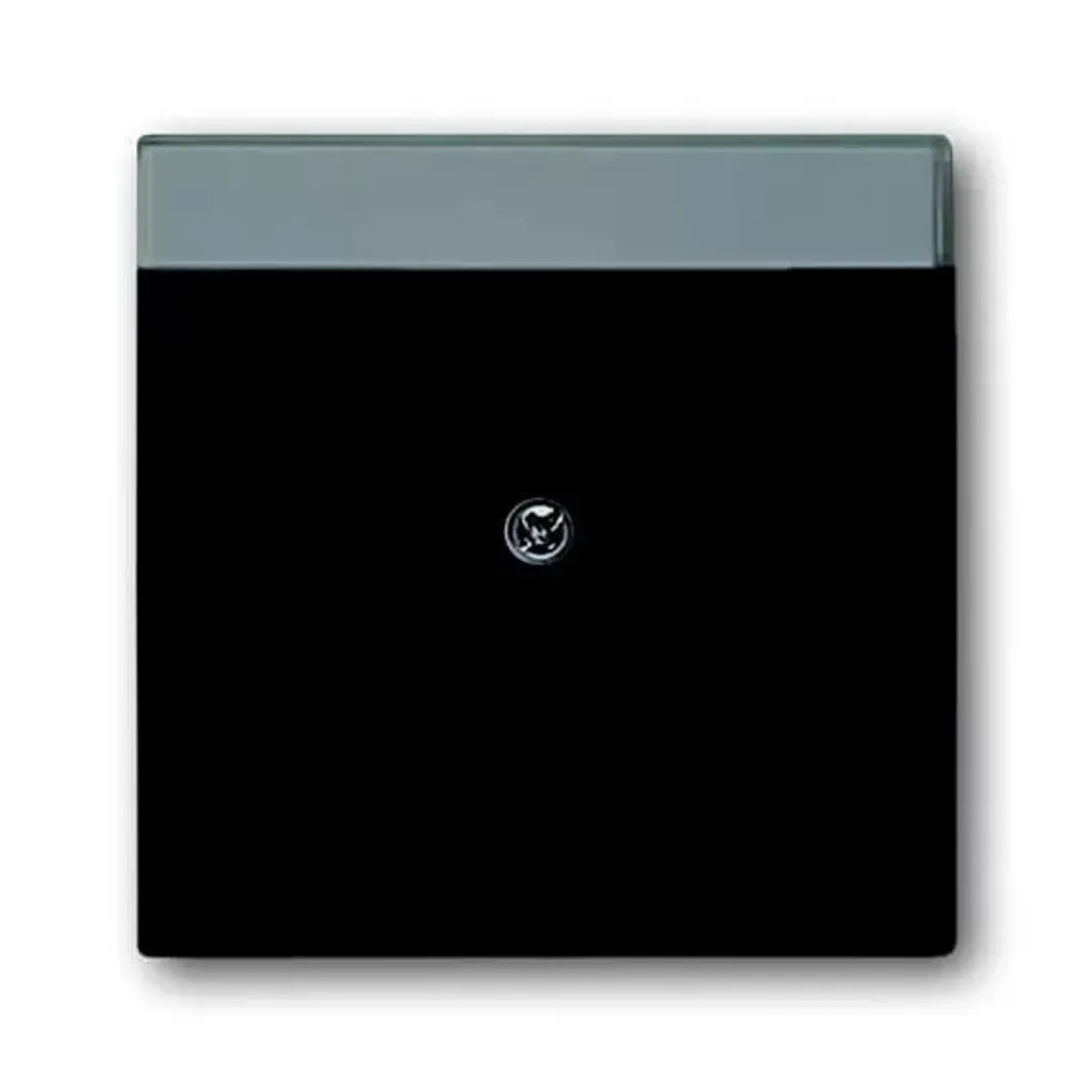 Plaque de recouvrement blanc mat pour remplacer vos vieux enjoliveurs