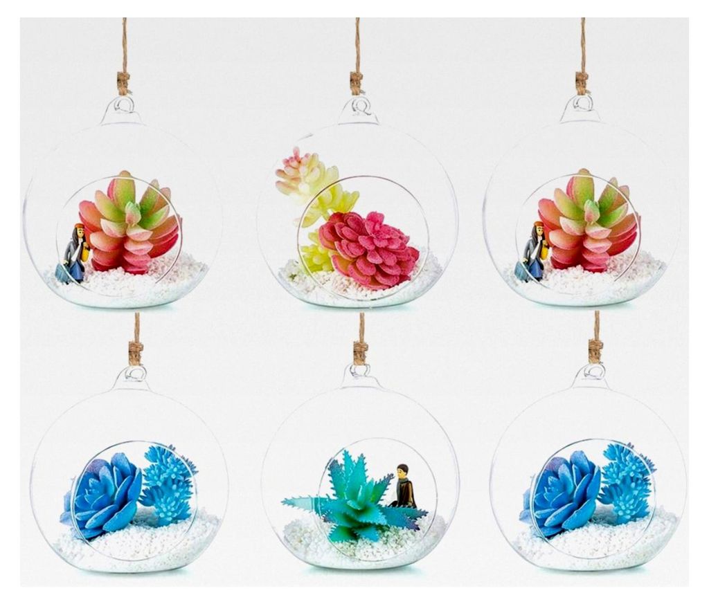 Hängende Glaskugelvase 6 Stück Große Öffnung für Sukkulenten Terrarium Glas Pflanzgefäß 4,72 Zoll für Zuhause Party Hochzeitsgarten DIY Design