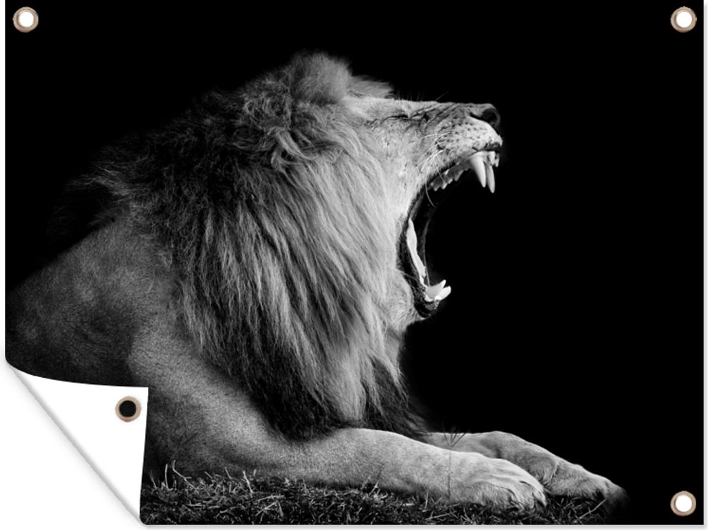 MuchoWow 120x90 cm Outdoor-Poster Gartendeko Sichtschutz Garten Poster für den Garten Löwe - Wildtiere - Gras - Schwarz - Weiß