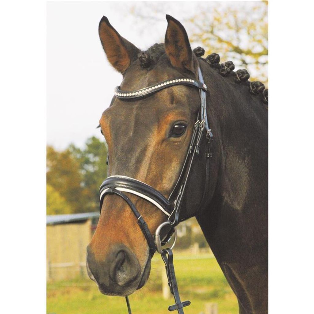 Hans Melzer Trense Wiesbaden schwarz/silberne Kristalle weiß unterlegt XL Warmblut