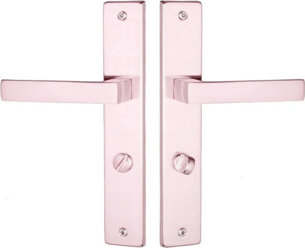Türgriff Langschild Türbeschlag Drückergarnitur Türklinke Tenorio Satin WC-72mm