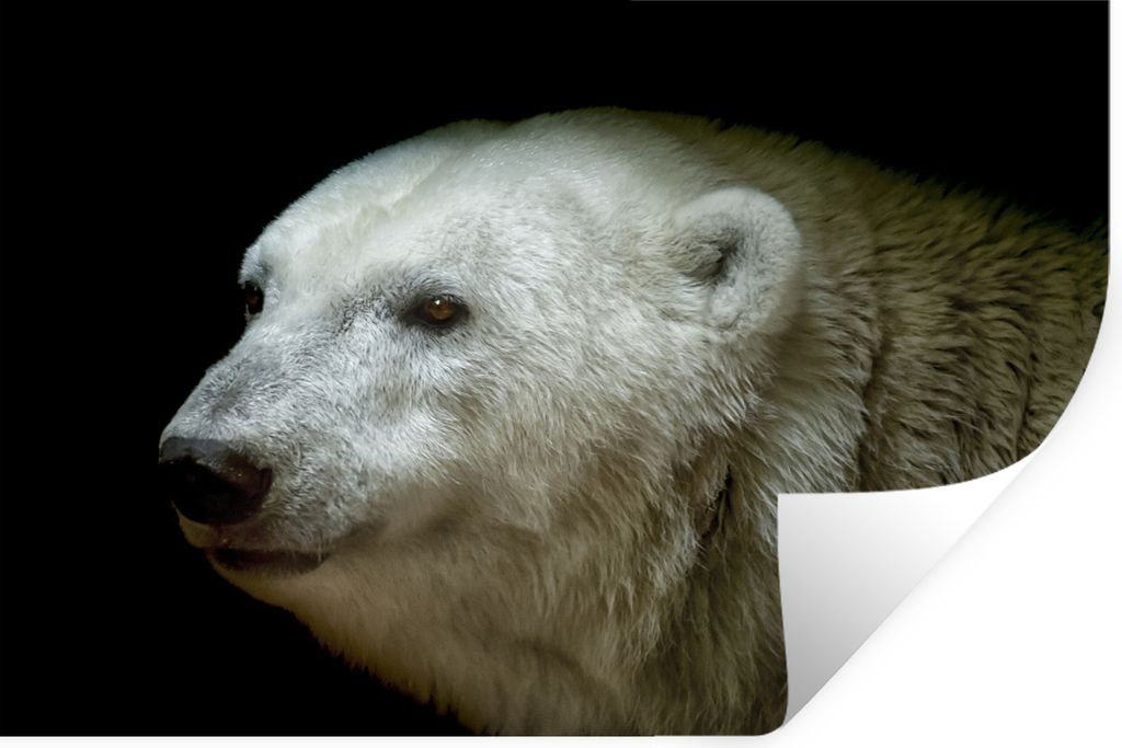 MuchoWow - Wierderverwendbar - Selbstklebend