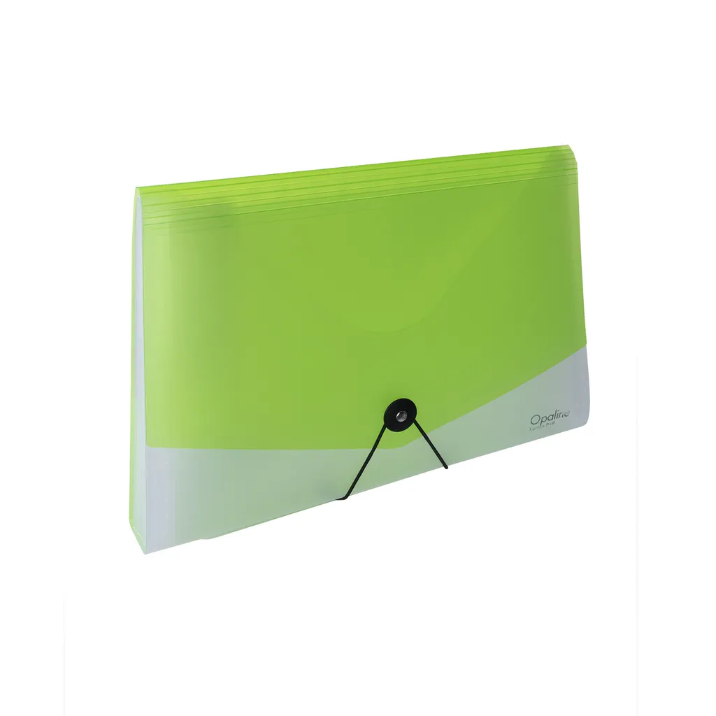Porte-documents A4 Opaline clair-vert avec élastique - Lot de 13 pièces