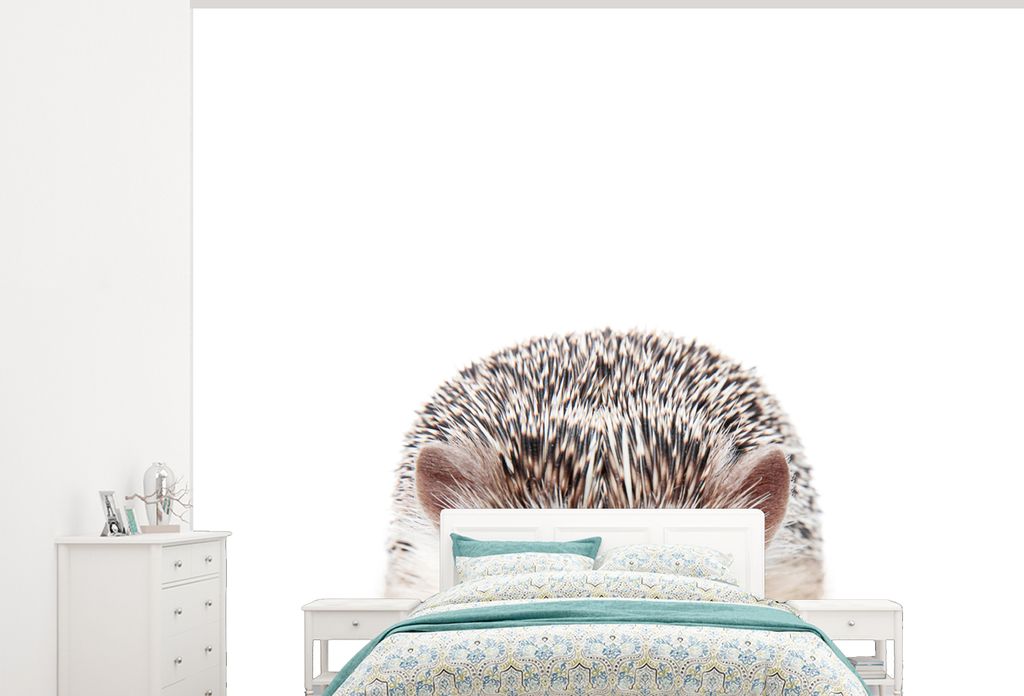 MuchoWow Fototapete für Wohnzimmer oder Schlafzimmer Wandtapete Vinyl Motivtapete Igel - Tiere - Natur - Weiß - 375x300 cm - Tapezierpapier