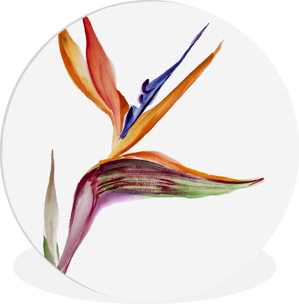 MuchoWow Rundes Wandbild - Runde Bilder Strelitzia - Aquarell - Blumen Ø 90 cm Kreis Wanddekoration Kunststoff - Wandkreis - Wandschmuck - Wand-...