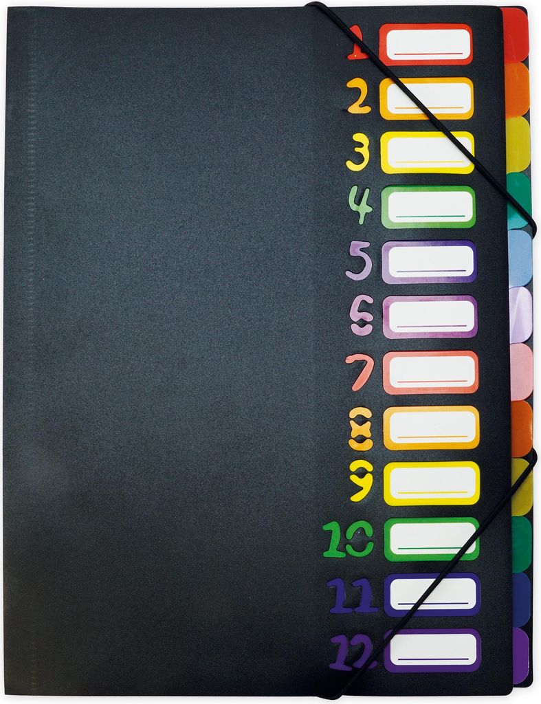 TimeTEX Tisch-Fächermappe 1-12 A4-Plus, farbig mit Produktbild 