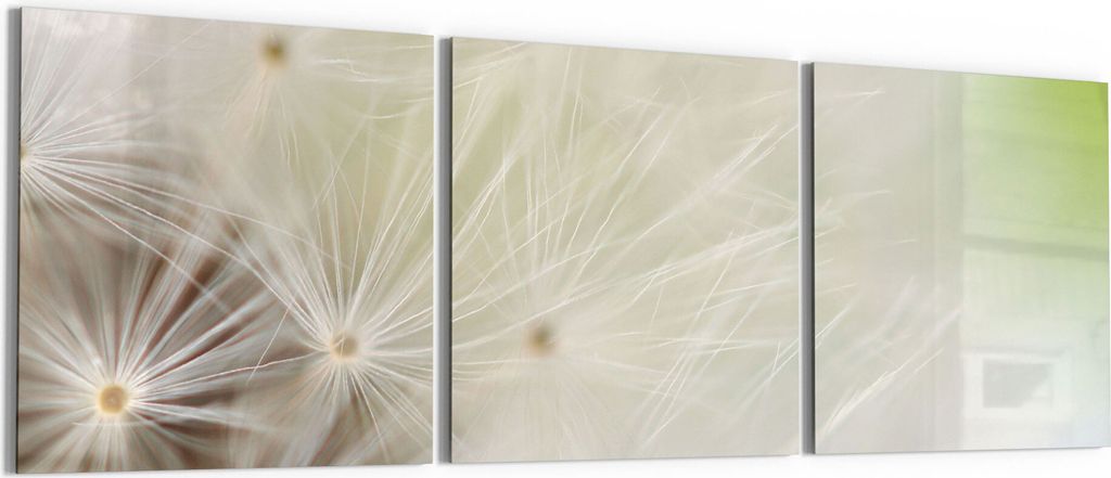 DEQORI Glasbild Echtglas 3x50x50 cm 'Pusteblume ganz nah' Wandbilder XXL groß