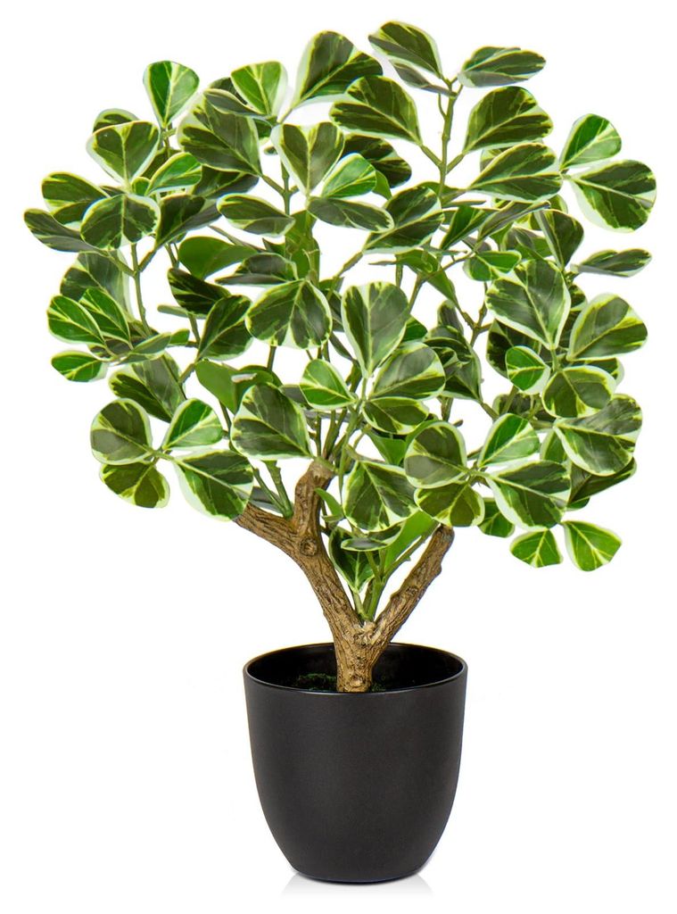Künstliche Pflanze, sieht täuschend echt aus. Künstlicher Ficus im schwarzen Topf. Dekorative Pflanze für Fensterbank, Wohnzimmer oder Badezimmer.