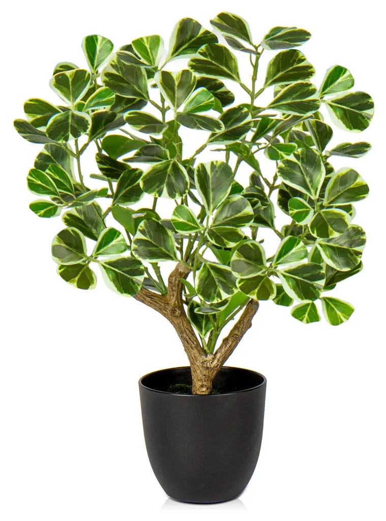Ficus artificiel haut de gamme : la solution déco pour pièces sans lumière