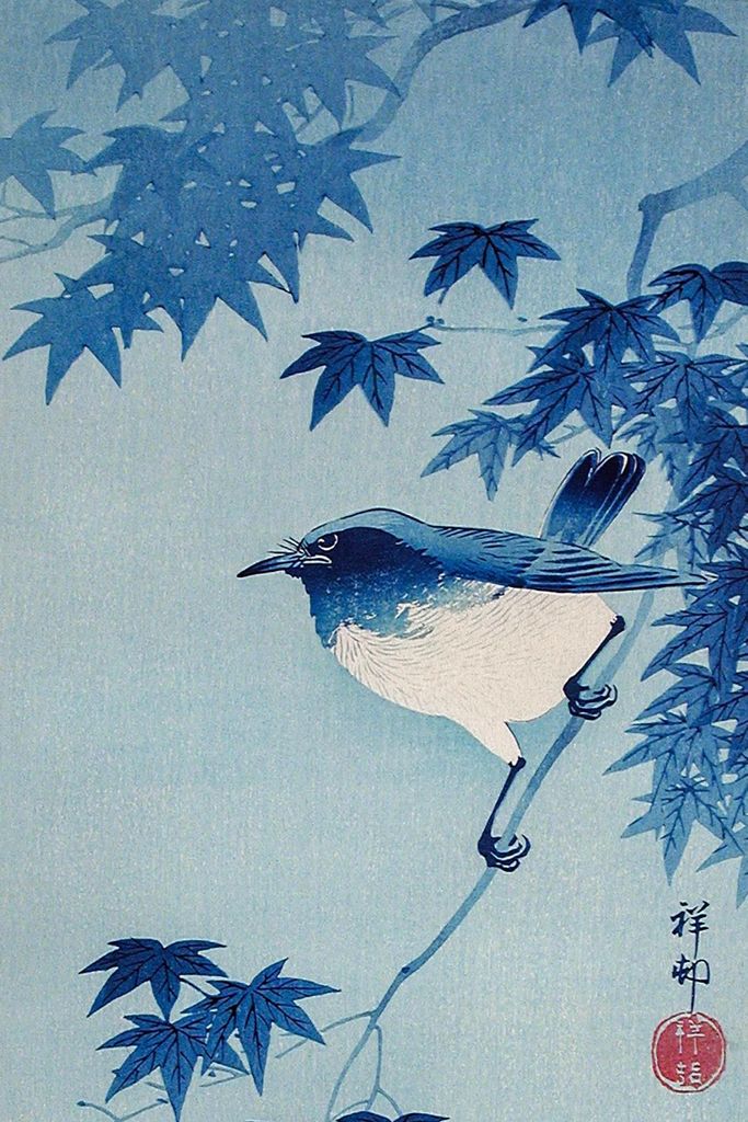 Plakat 30x45cm Robin auf einem Ahornzweig, Vintage Japanischer Koson für das Wohnzimmer