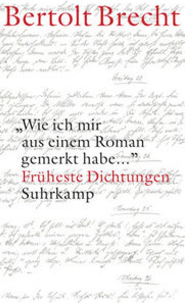 'Wie ich mir aus einem Roman gemerkt habe ...'
