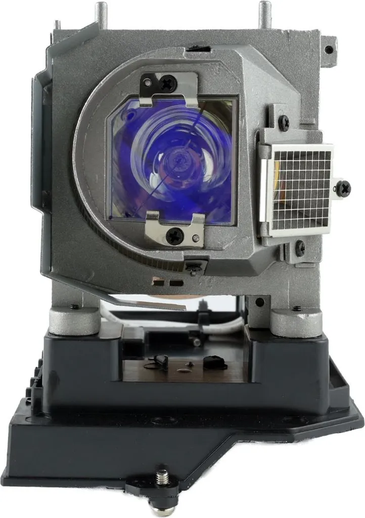 Module Lampe 60003130 pour NEC NP-U300X avec boîtier de montage