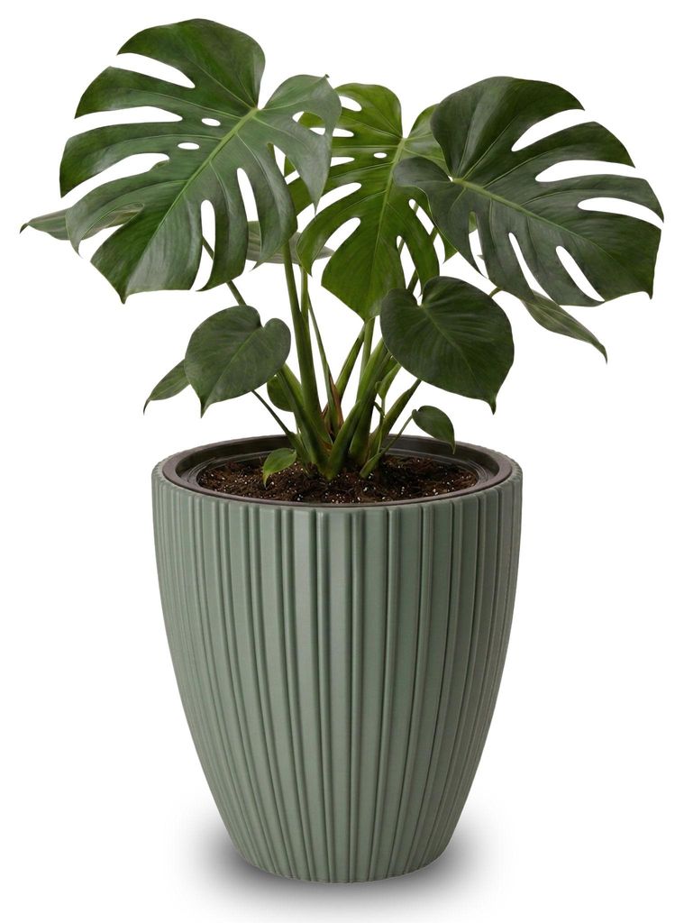 Großer Outdoor Blumentopf ZENTO salbei-grün in 29 x 32 cm