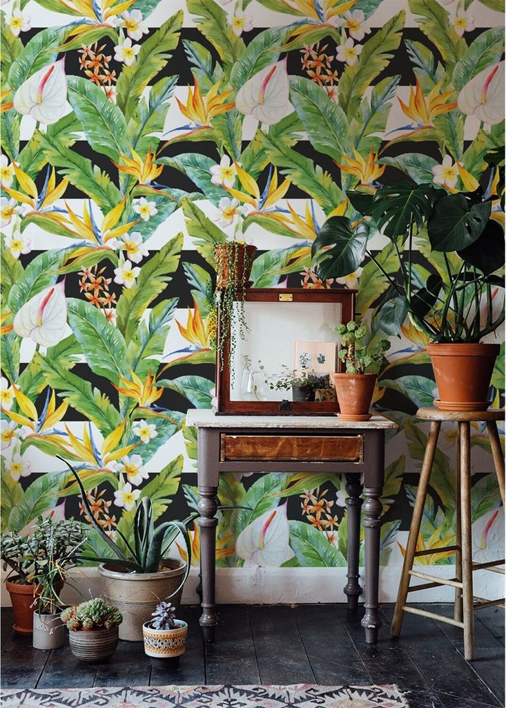 Coloray Fototapete 312x219 cm An Einer Wand Latex Latextapete - Tropiclines.