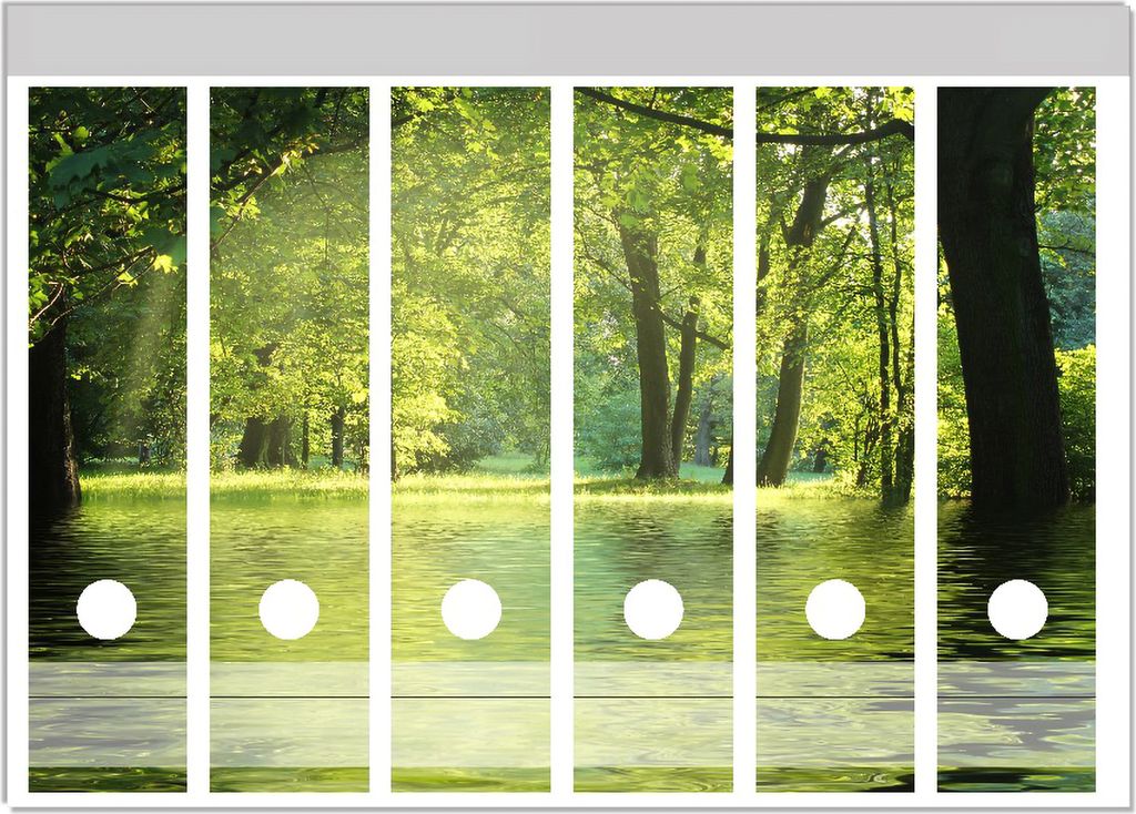 Wallario Ordnerrücken Sticker, selbstklebend für breite Ordner, 6 Stück, Motiv Idyllischer See im Wald bei Sonnenschein