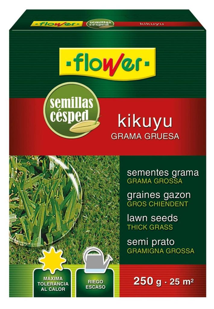 Seme Di Kikuyo Immagine del prodotto 