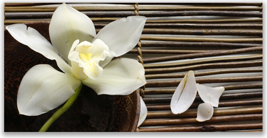 Tulup Leinwand-Bilder 140x70 Wandbild Canvas Kunstdruck Blume Pflanzen