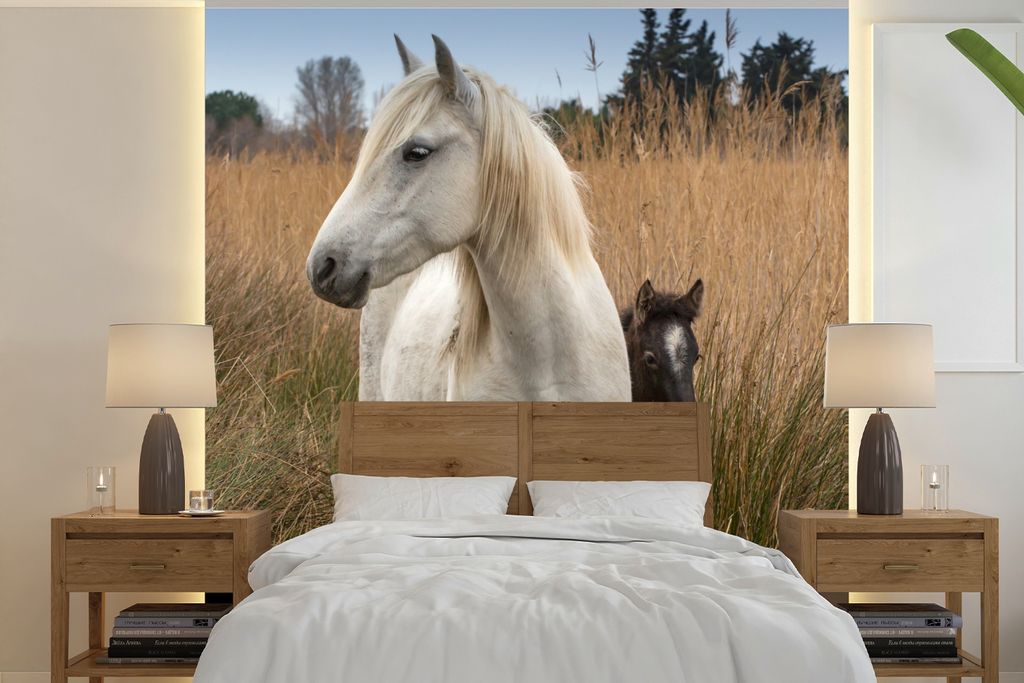 MuchoWow Fototapete für Wohnzimmer oder Schlafzimmer Wandtapete Vinyl Motivtapete Pferd mit Fohlen in der Camargue - 280x280 cm - Hintergrundbild