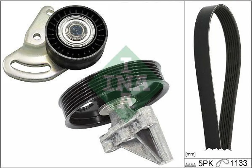 Ricambio Originale INA 529 0396 10 | Kit Cinghia Servizi 7700274039