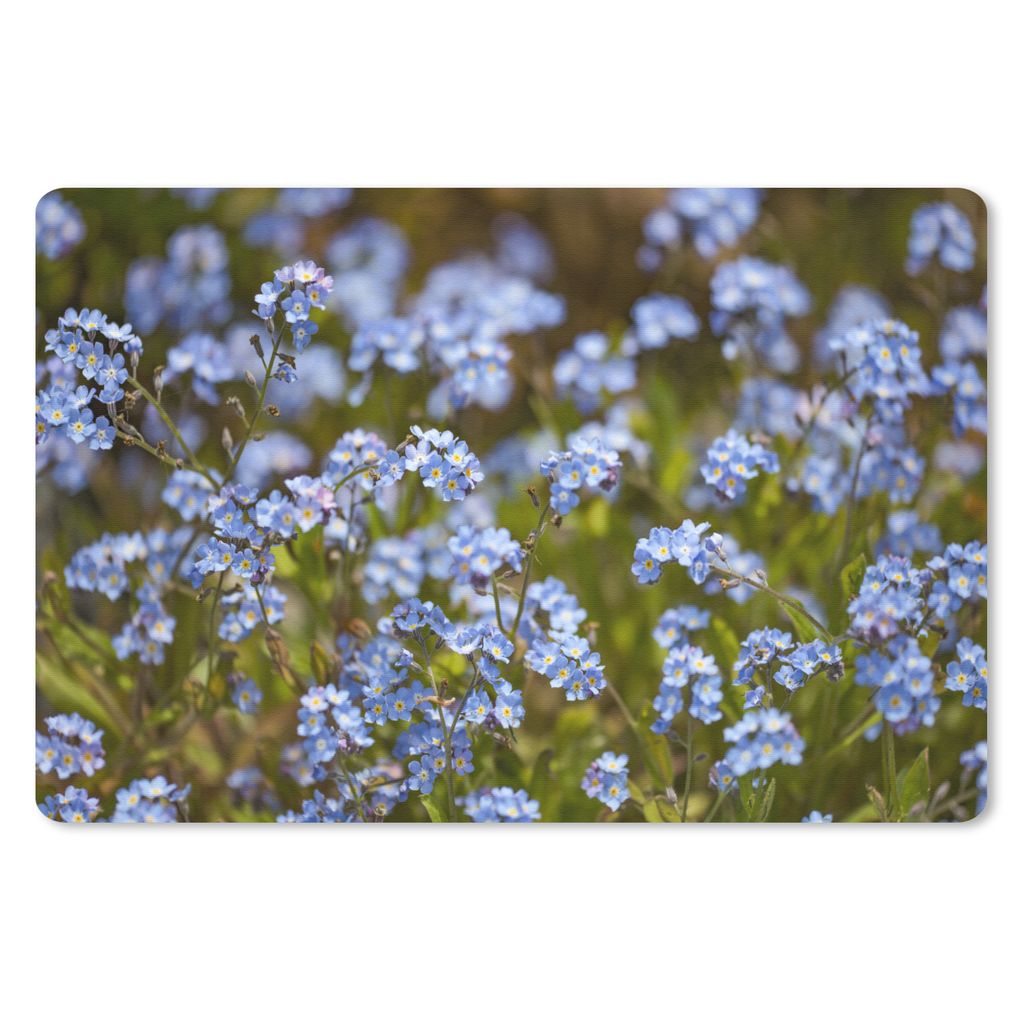 MuchoWow Schreibtischunterlage Gruppe von blauen Vergissmeinnicht 60x40 cm - XXL Mauspad - Großes Mauspad