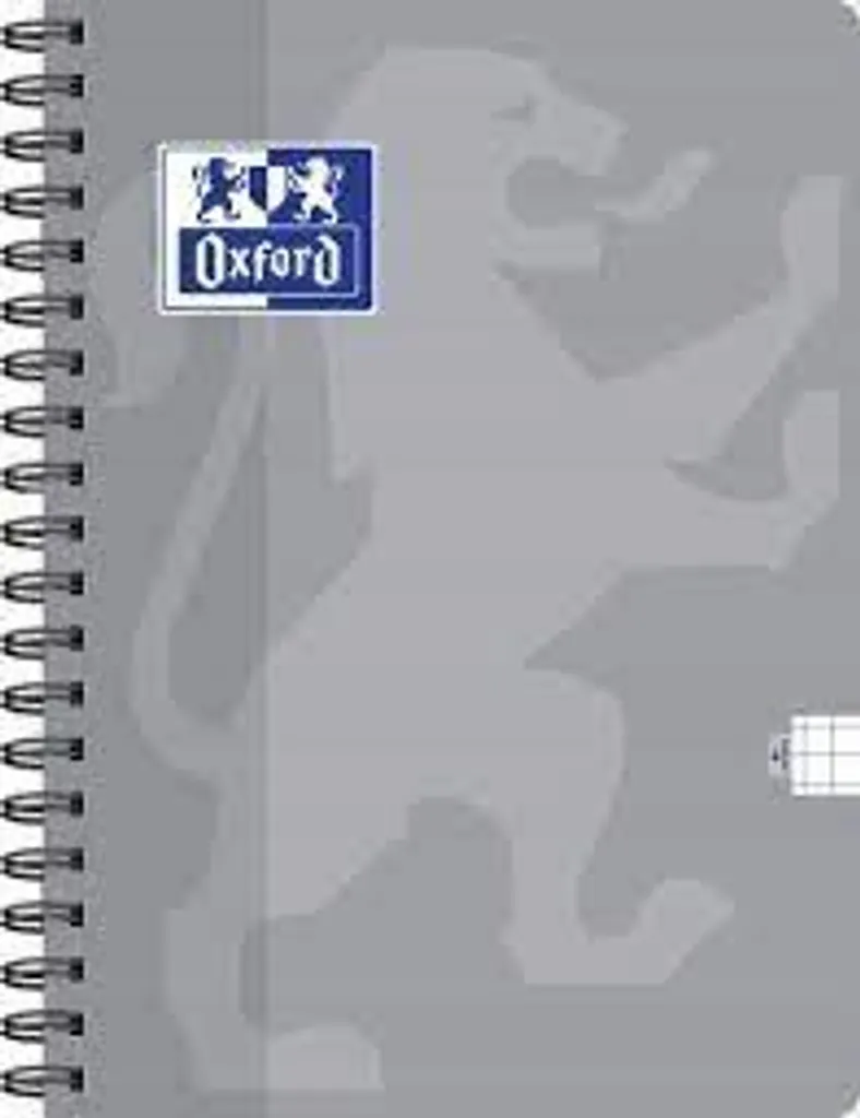 Cahier A4 ESSE 80 feuilles petits carreaux pour notes structurées