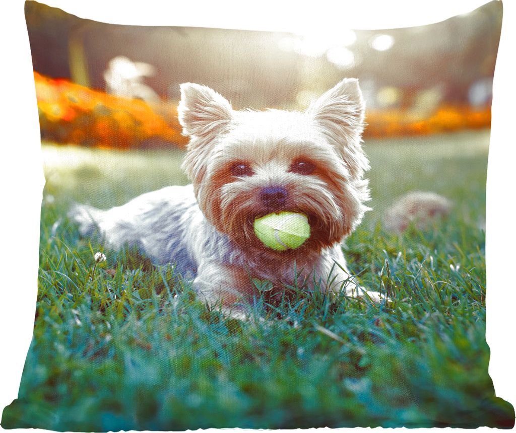 MuchoWow Zierkissen Sofakissen Wohnzimmer Dekokissen 50x50 cm Yorkshire Terrier liegt im Gras mit einem Tennisball im Maul - Komfort - Sofakissen