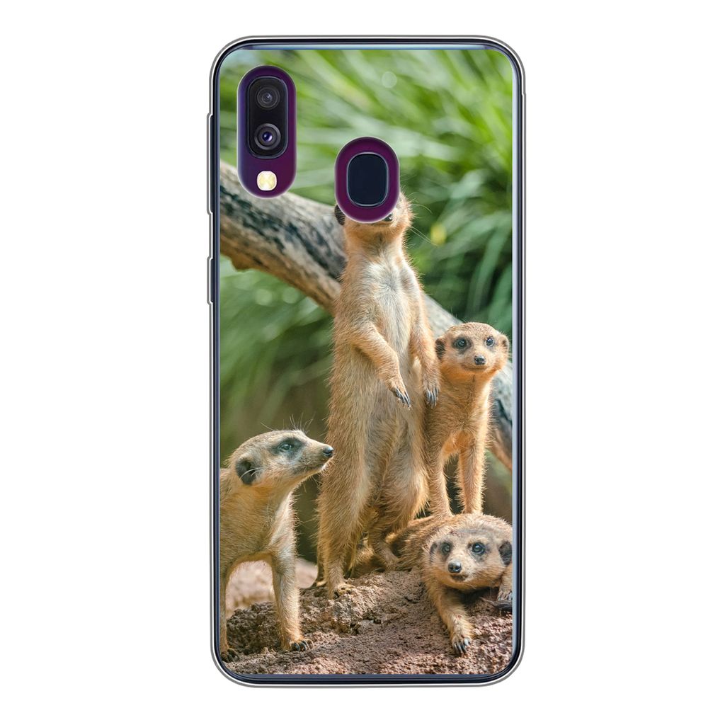 MuchoWow Handyhülle Schutzhülle Hülle für Samsung Galaxy A40 Erdmännchen - Familie - Tiere Silikon Softcase Handy Hülle - Handy-Tasche