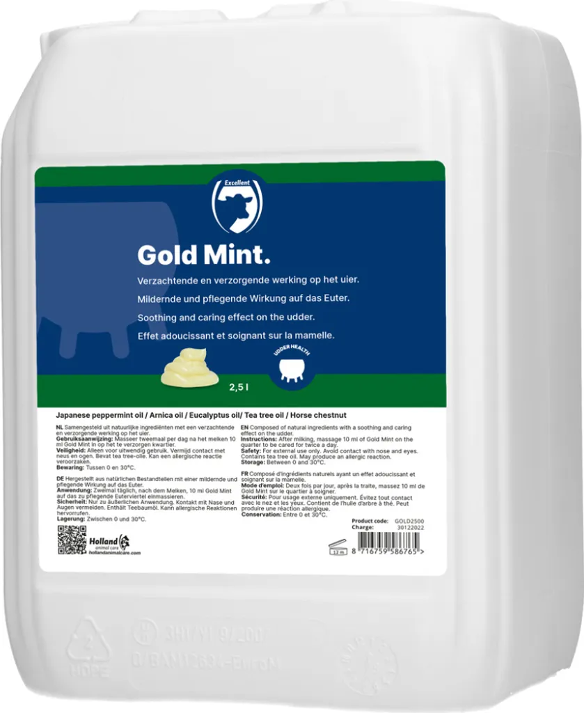Bottiglia Gold Mint Oro e Menta Decorativa - Design da Appoggio e Sospeso