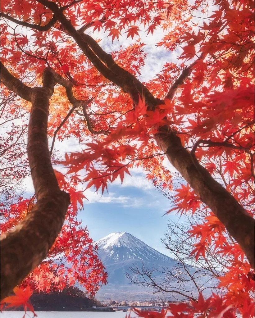 Décoration murale Fuji : Finissez-en avec les murs vides - Toile 50x40cm