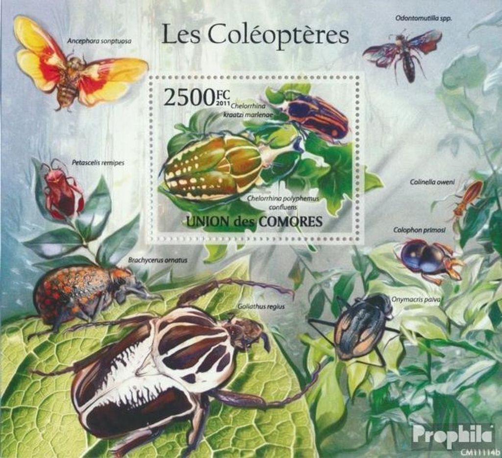 Briefmarken Komoren 2011 Mi Block 617 (kompl. Ausg.) postfrisch Käfer (Chelorrhia polyphemus confluens)