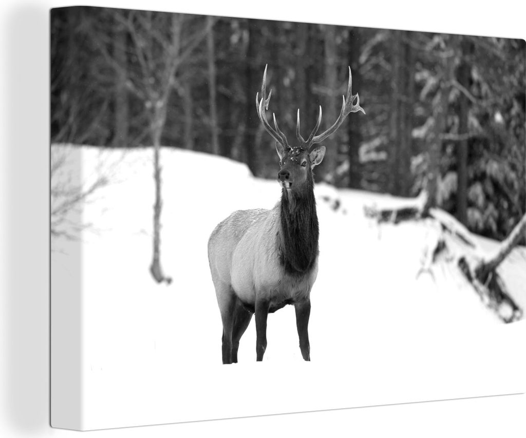 OneMillionCanvasses - Leinwandbilder - 140x90 cm, Hirsche im Schnee - schwarz und weiß, Wandbilder Kunstdruck Wanddekoration