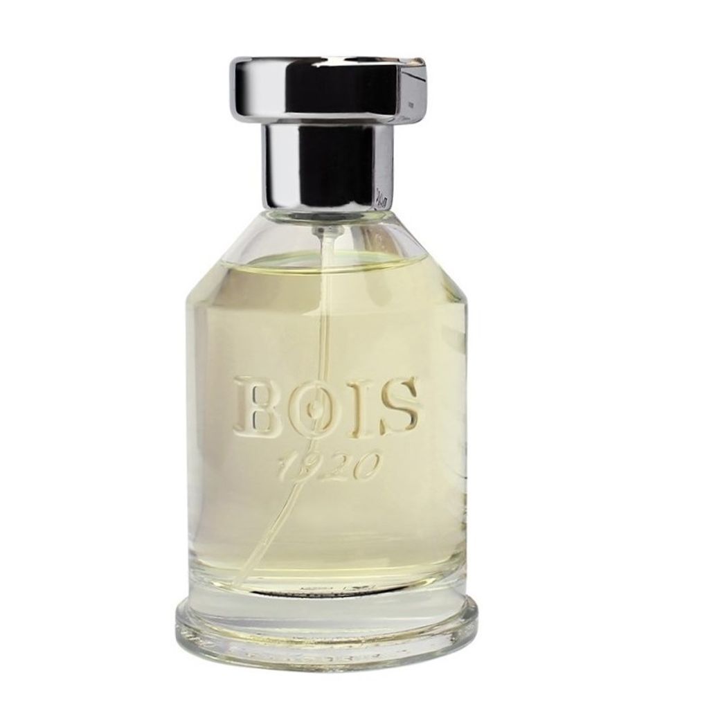 Bois 1920 Paranà Perfume 100ml Eau de Parfum | Kaufland.de