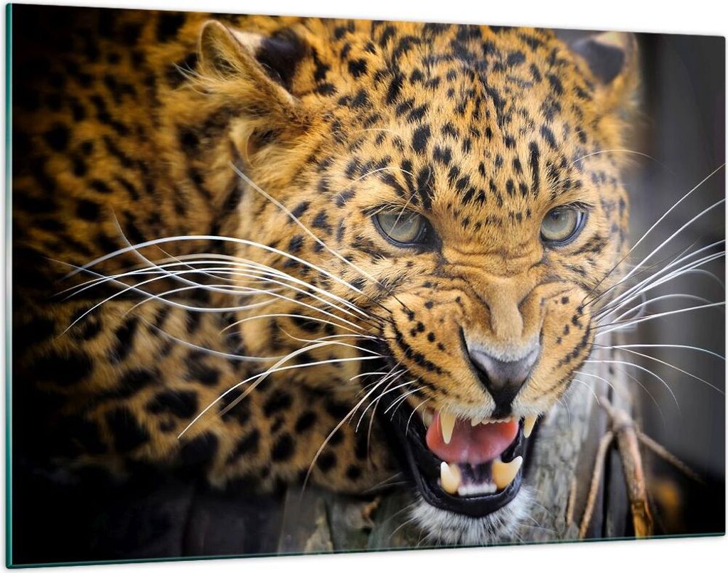 Bilder auf glas - Leopard tier savanne afrika - 120x80cm - Glasbilder - Wandbilder - Kunstdruck - zum Aufhängen bereit - Wanddekoration aus Glas -...