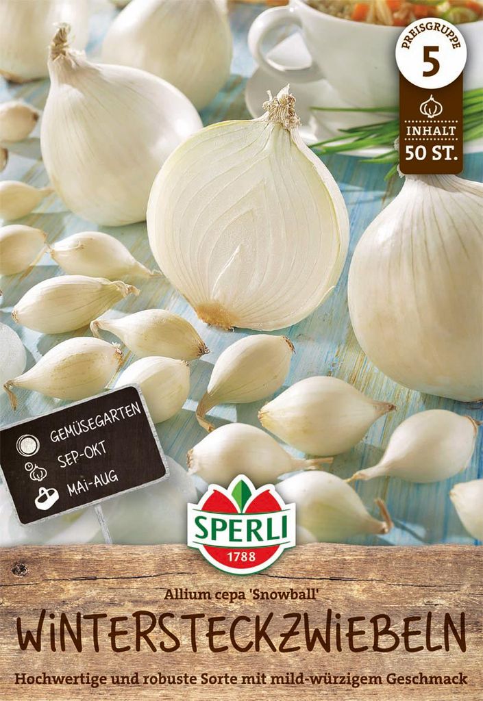 Steckzwiebel Snowball (50 Stück) | Steckzwiebeln von Sperli