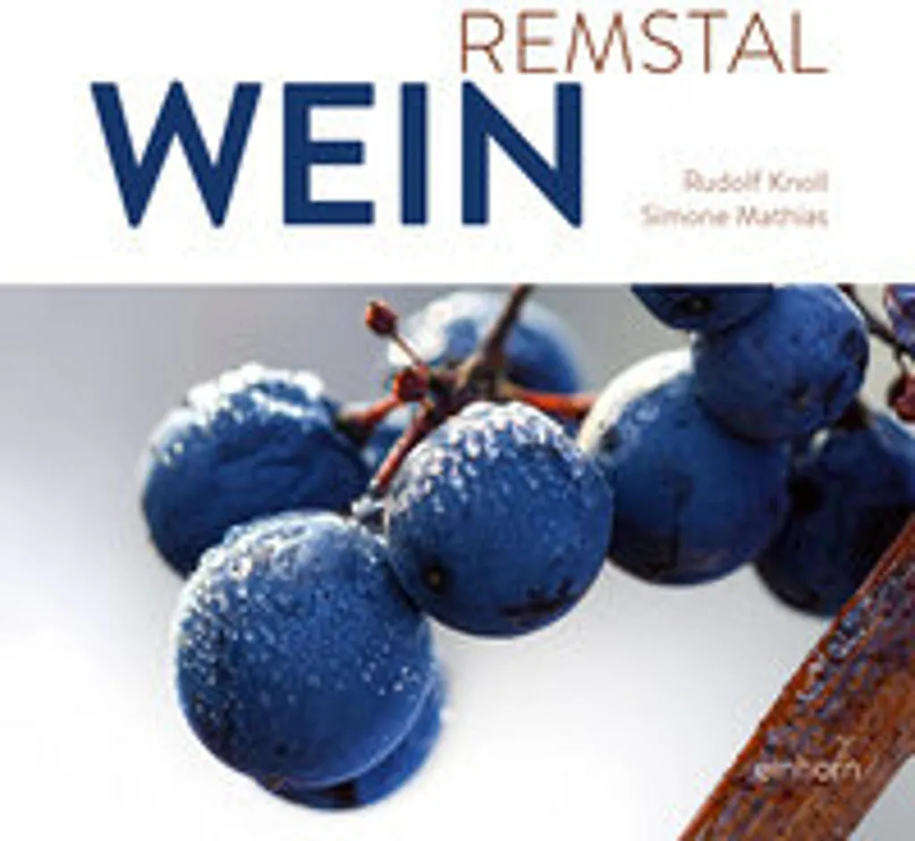 Vin Allemand RemstalWein Rouge Fruité Grand Cru de la Rems 75cl