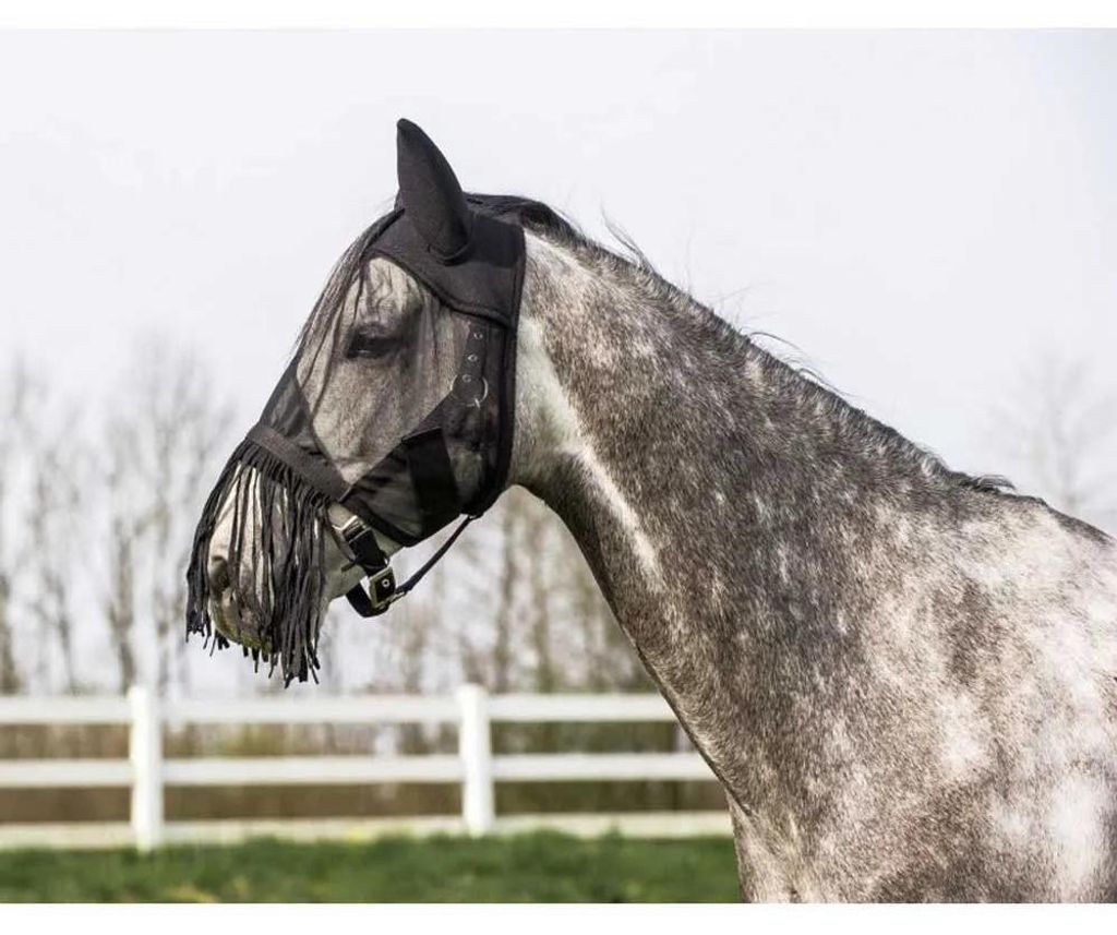 RIDING WORLD Leichte Netzfliegenhaube, Gr. WB Produktbild 