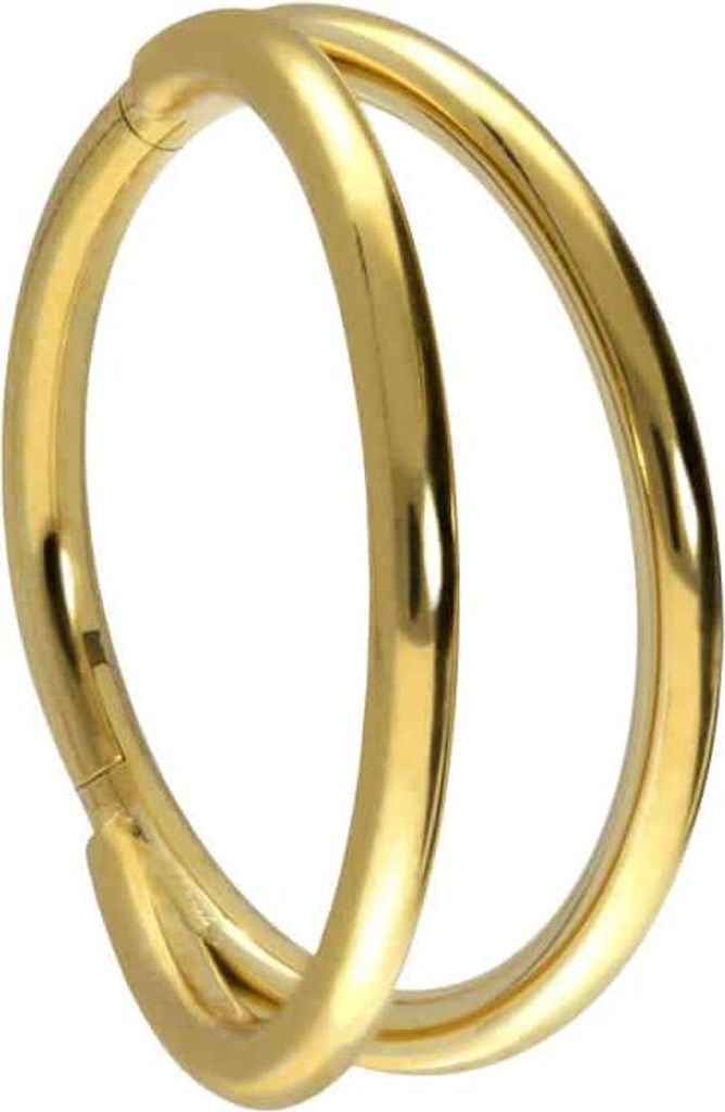 Ohrpiercing, Nasenpiercing, Septum Piercing Titan Segmentring Clicker 2 RINGE Gold Innendurchmesser: 12mm + Stabstärke: 1,2mm
